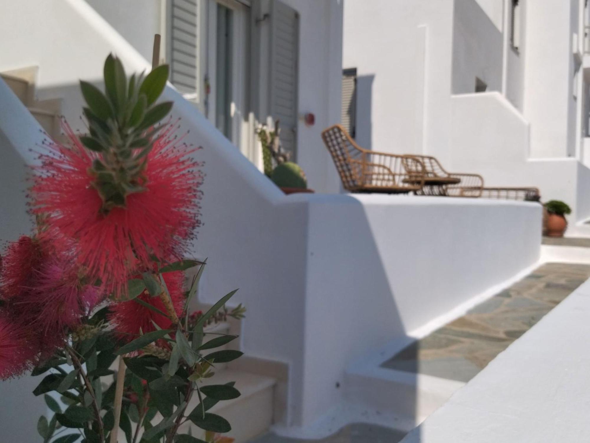 Gaia Serifos Apartments Rámos Chambre photo